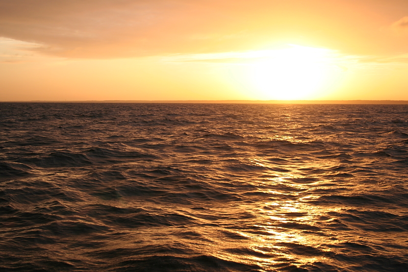 Killikus® Fotographie Killikus® Fotographie